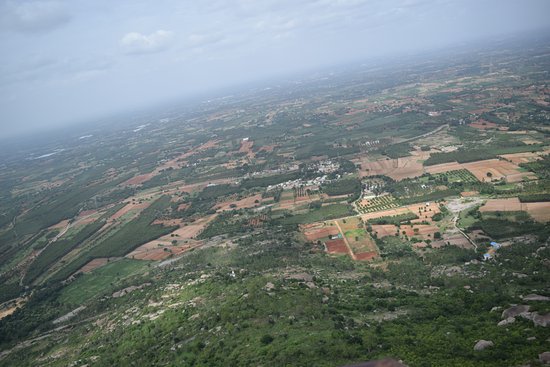 aggriculture-farm-land-sale