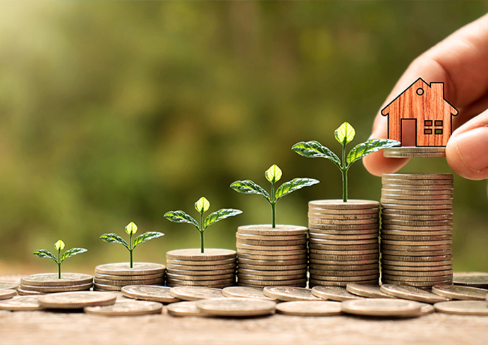 investments-site-plots